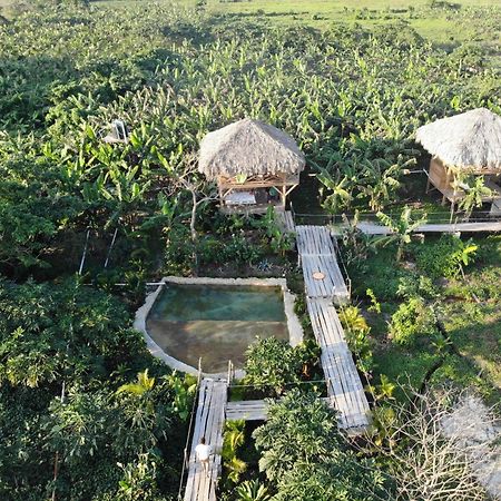 Samana Ecolodge El Limon المظهر الخارجي الصورة