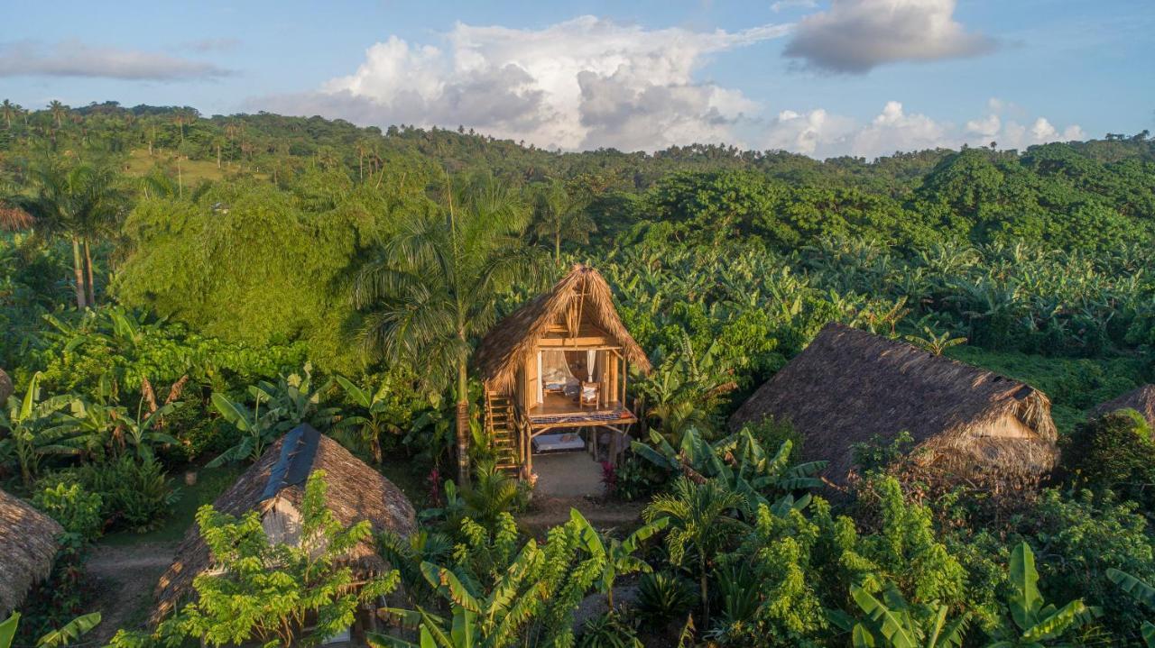 Samana Ecolodge El Limon المظهر الخارجي الصورة