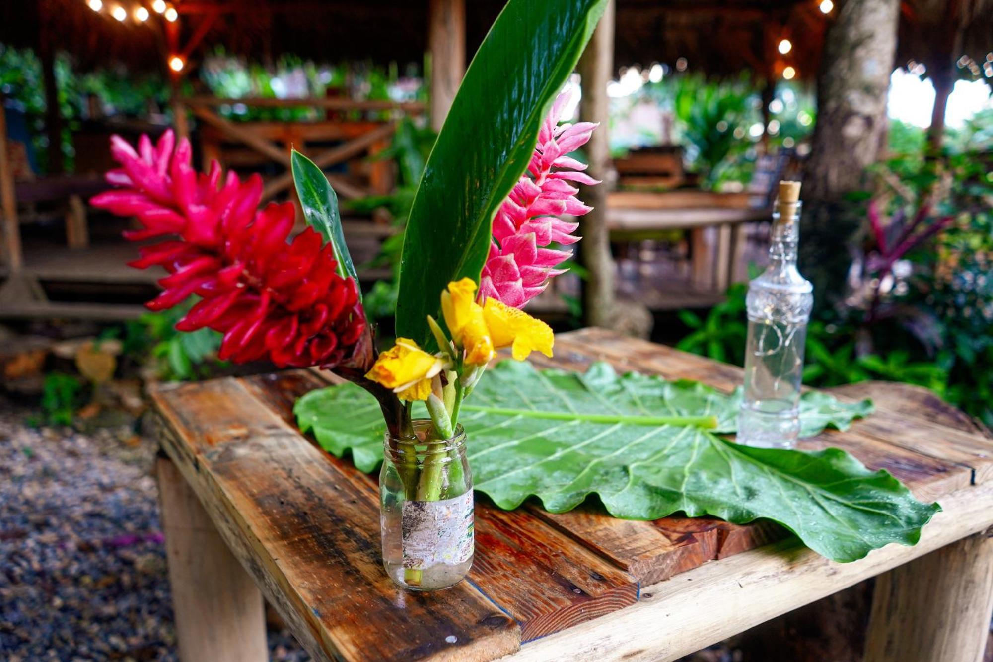 Samana Ecolodge El Limon المظهر الخارجي الصورة
